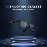 The Noovea™ Smart Ai Glasses v1